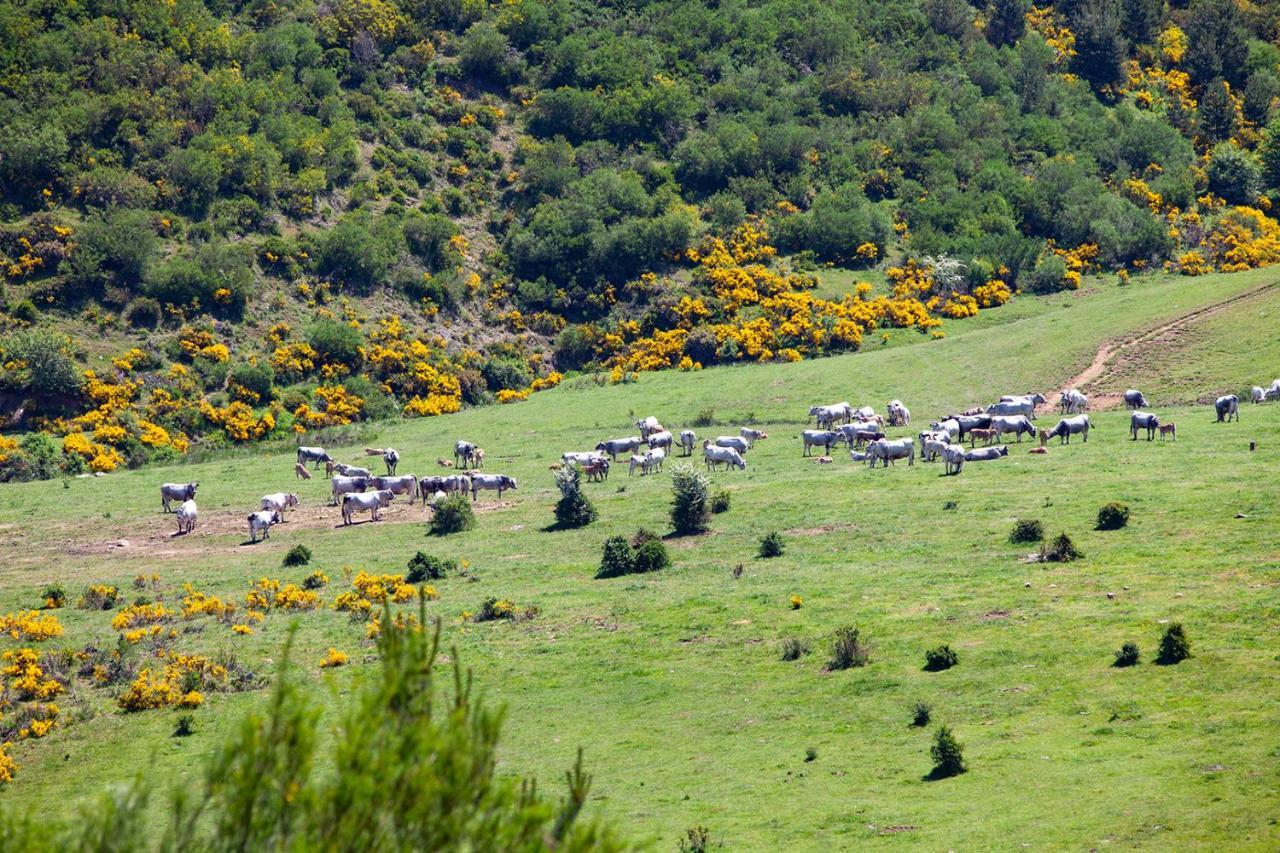 Casa Rural La Majada de Peñacorada Hostal Fuentes de Peñacorada Exterior foto